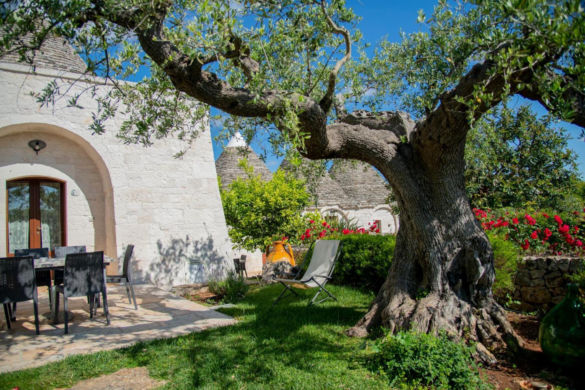 הוילה לוקורוטונדו Trulli Arco Antico מראה חיצוני תמונה