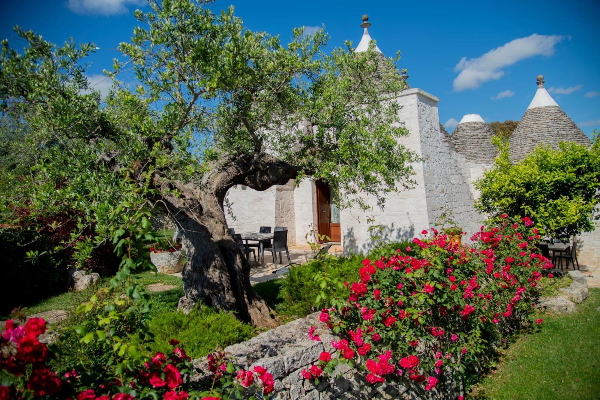 הוילה לוקורוטונדו Trulli Arco Antico מראה חיצוני תמונה